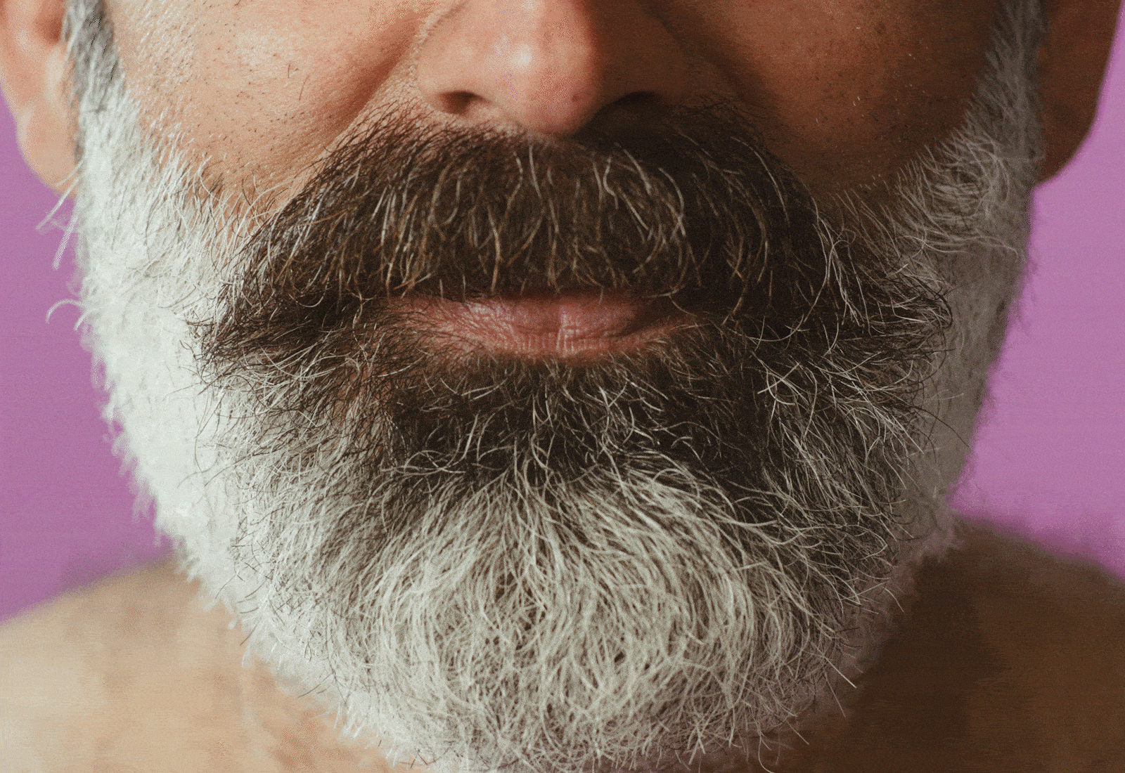 Vacances finies. Barbe de retour en routine.